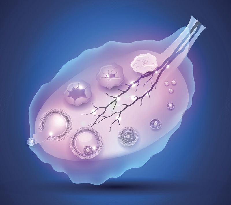 哈尔滨特纳氏综合症试管婴儿医院选择指南：本地五家高人气生殖中心技术与服务解析